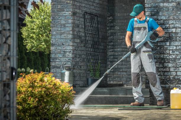Best Graffiti Removal  in Seymour, TN